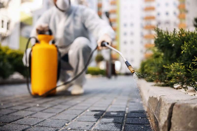 Profissional de dedetização em São Paulo